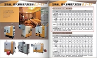 Small Wood Fired Steam Boiler Fully Automatic 1.25MPa For Textile Industry