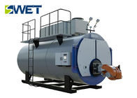 Agriculture / Industry Gas Steam Boiler High Strength Raw Material