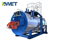 Reliable Efficiency ISO9001 0.7Mpa 1.0Mpa 1.2Mpa  Approval Natural Gas Fired Boiler