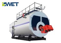 Environmental Protection Gas Steam Boiler Excellent Heat Resistance
