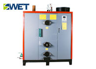 Professional Biomass Steam Boiler 100-600Kg Environmentally Friendly